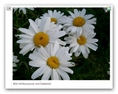 View on the Weblic image element in processing