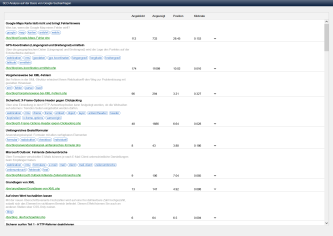 SEO-Analyse - Ansicht