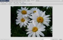 Bild drehen / spiegeln