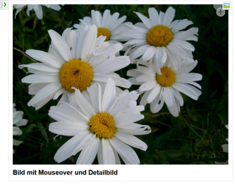 Ansicht des Weblic Bild-Elementes in der Bearbeitung