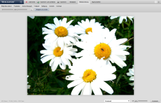 Bild - Filter Helligkeit