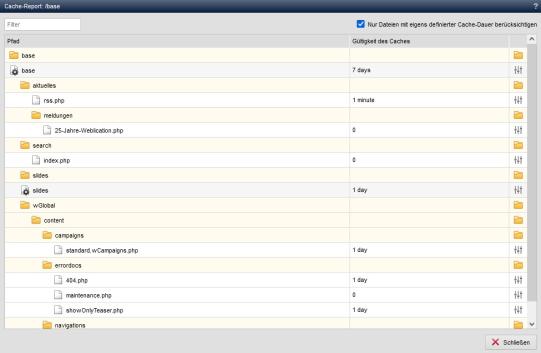 Analyse - Cache-Report