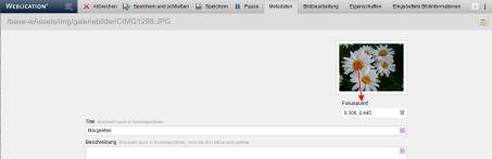 Bild - Metadaten - Fokuspunkt