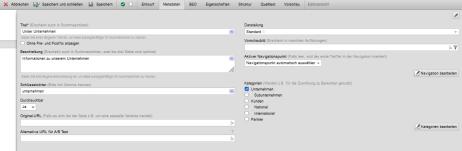 Seitenbearbeitung - Metadaten-Maske