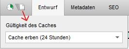 Datei-Status - Cache (aus Status-Lasche aufgerufen)