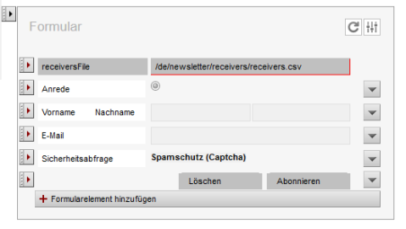 Editor-Ansicht - Formular für Newsletter-Anmeldung