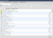 Weblics Verwaltung mit eigenen Weblics