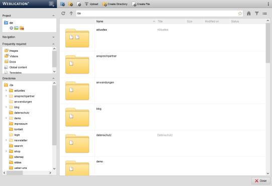 File explorer