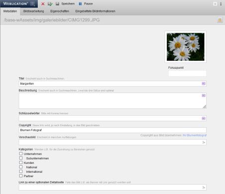 Bild - Metadaten