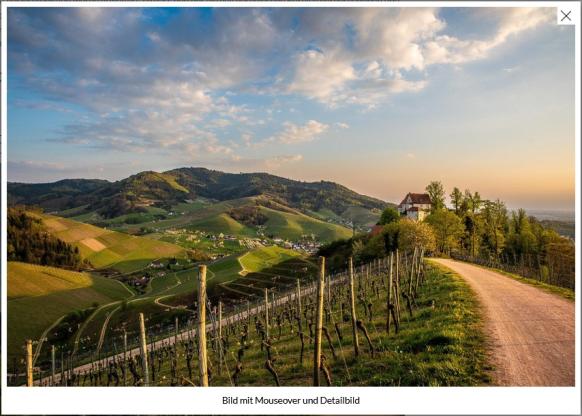 Ansicht des Weblic Bild-Elementes in der Bearbeitung