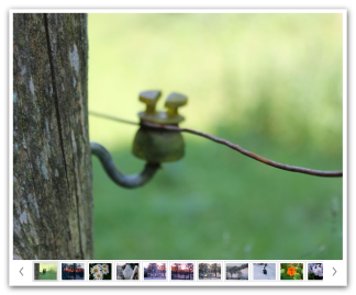 Bildergalerie-Variante 0 (Großansicht mit Diavorschau horizontal)