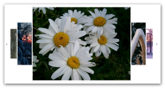 Bildergalerie-Variante 11 (Karussell)